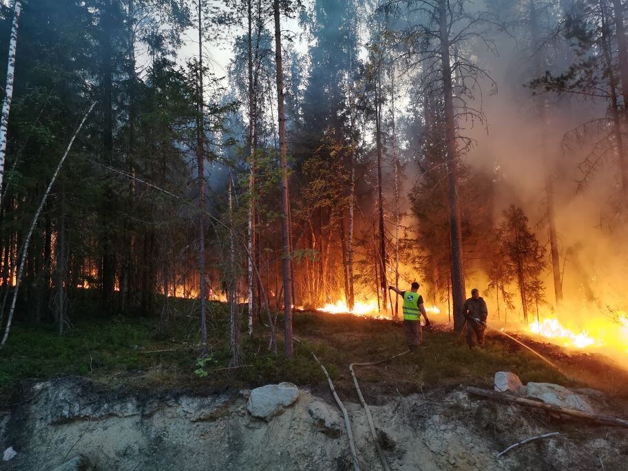 Маленькая победа: в Суоярвском районе удалось локализовать лесной пожар